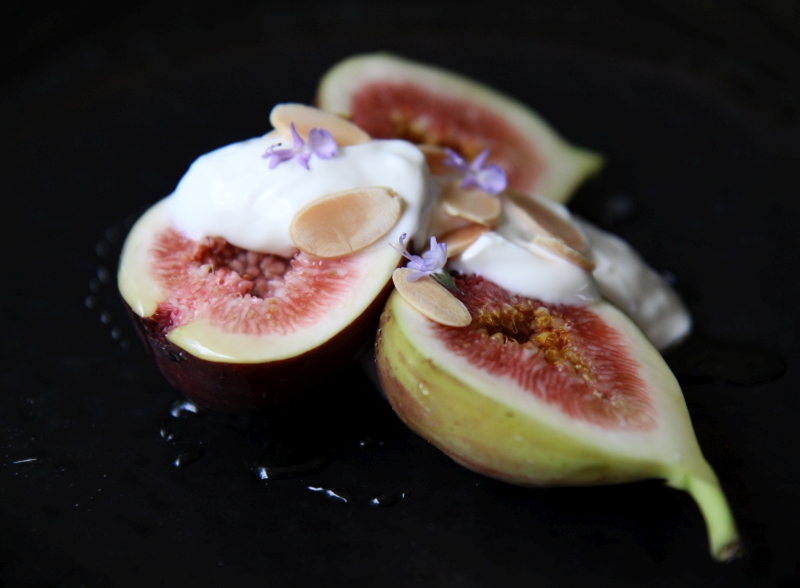 figs2 resized