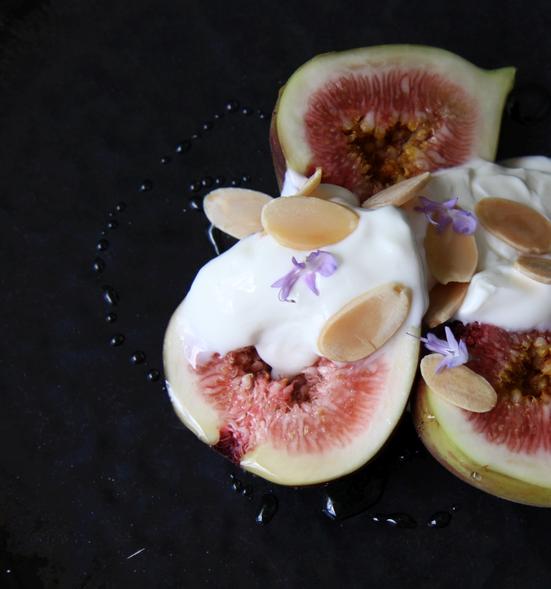 figs4 resized